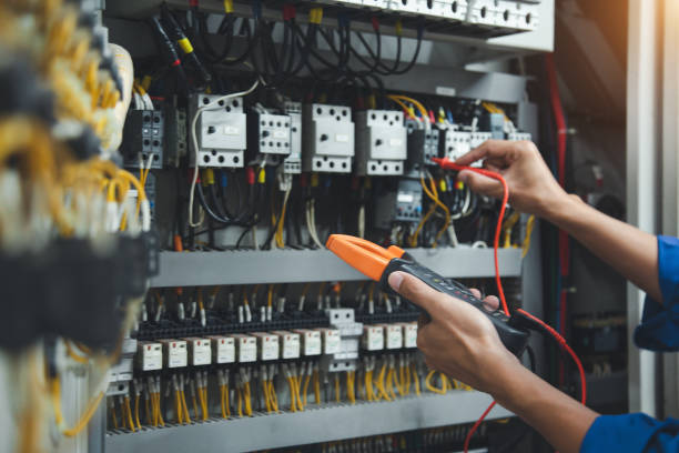 Best Electrician for Home Renovation  in Thomasboro, IL