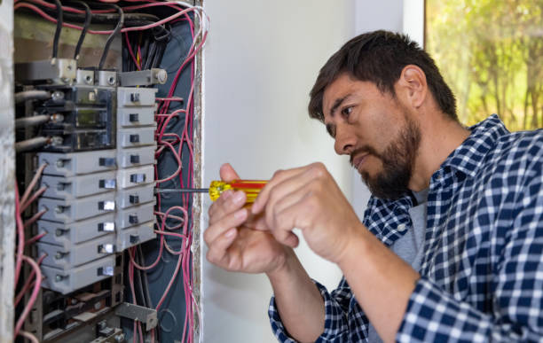 Best Electrical Repair Services  in Thomasboro, IL